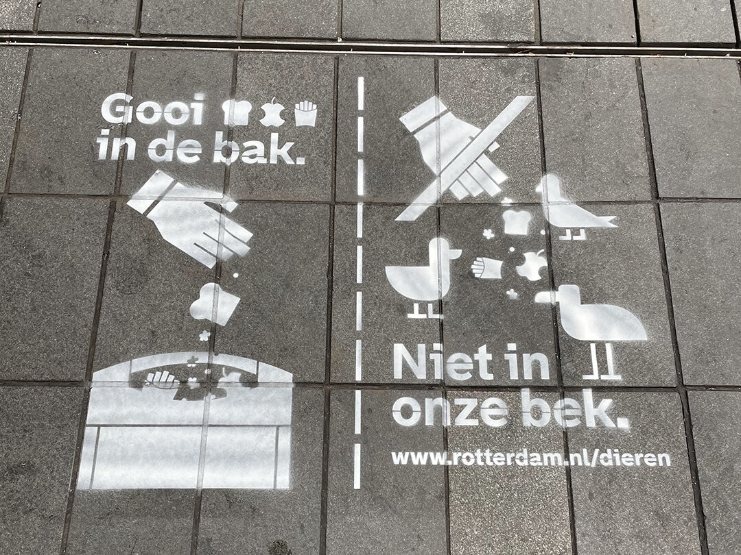 milkpaint campagne voederverbod Rotterdam